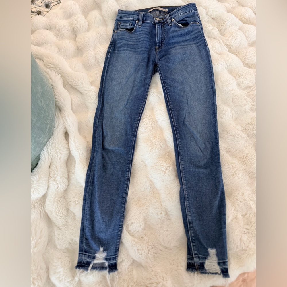 Hudson Skinny Jeans